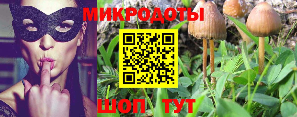 Псилоцибиновые грибы Magic Shrooms  Псилоцибиновые грибы прущие грибы  Реутов  Вход с VPN 